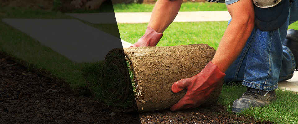 Wixom Landscapers